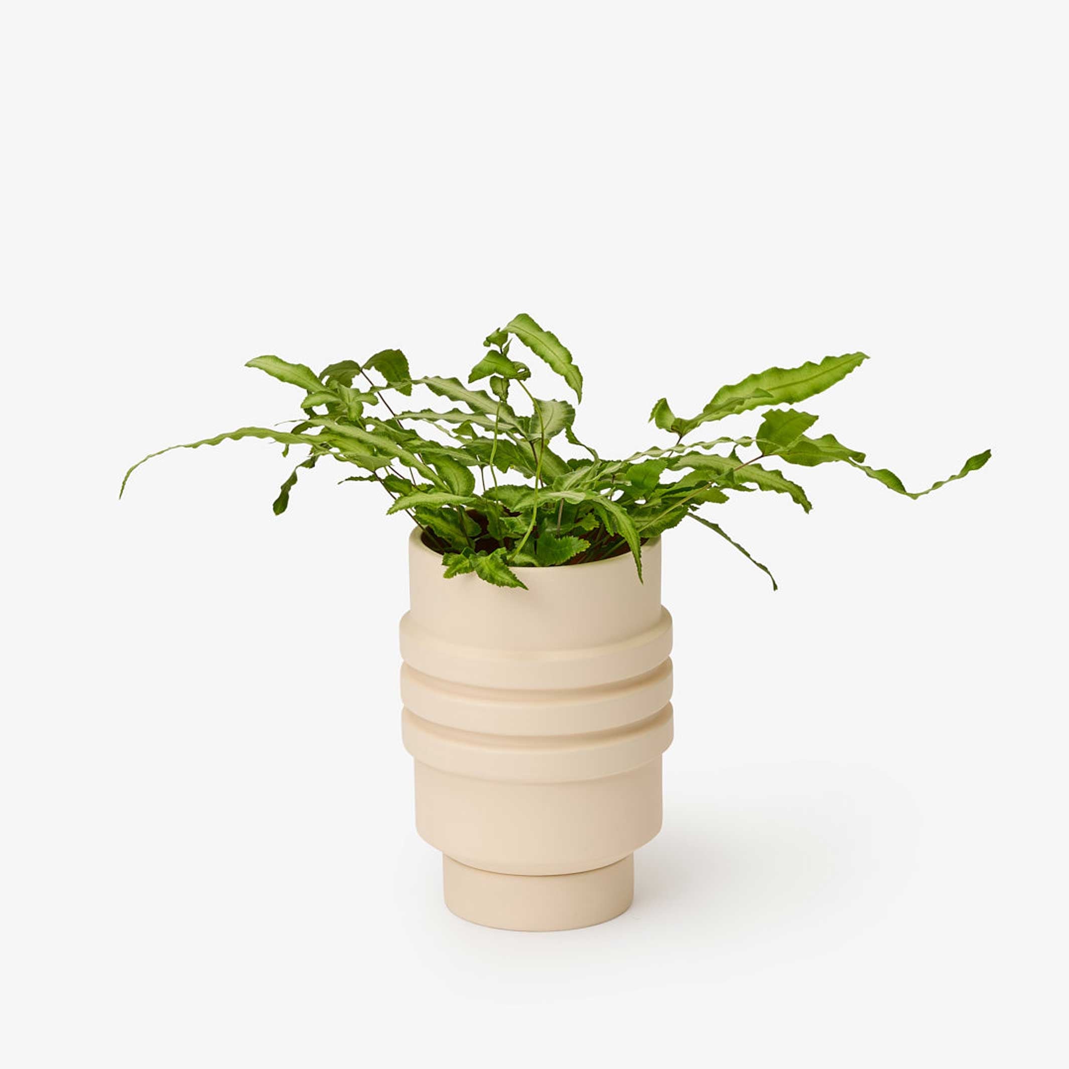 STRATA PLANT VESSEL Simone BLICKFANG Designshop