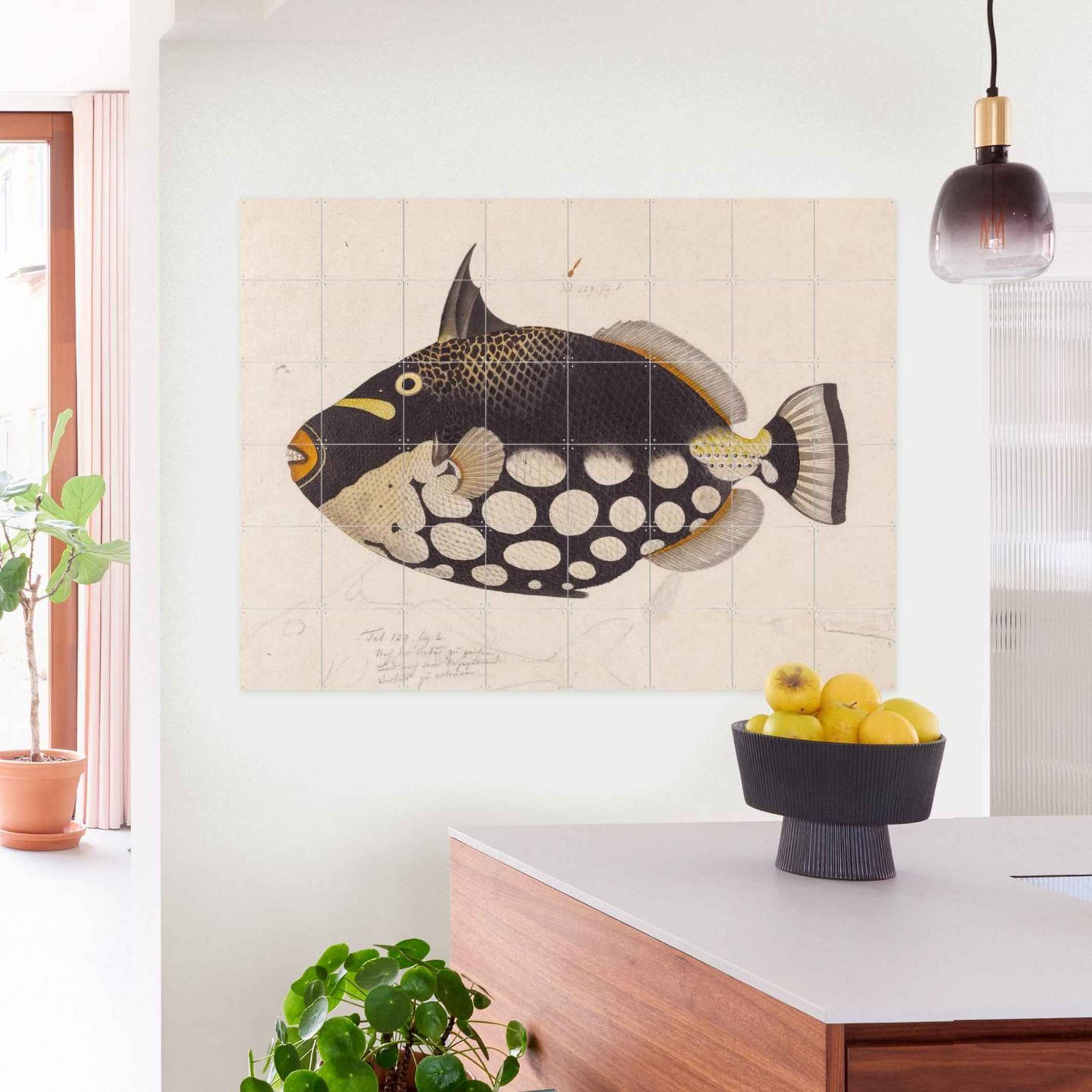 Wall decoration - BLACK FISH | IXXI – BLICKFANG Designshop