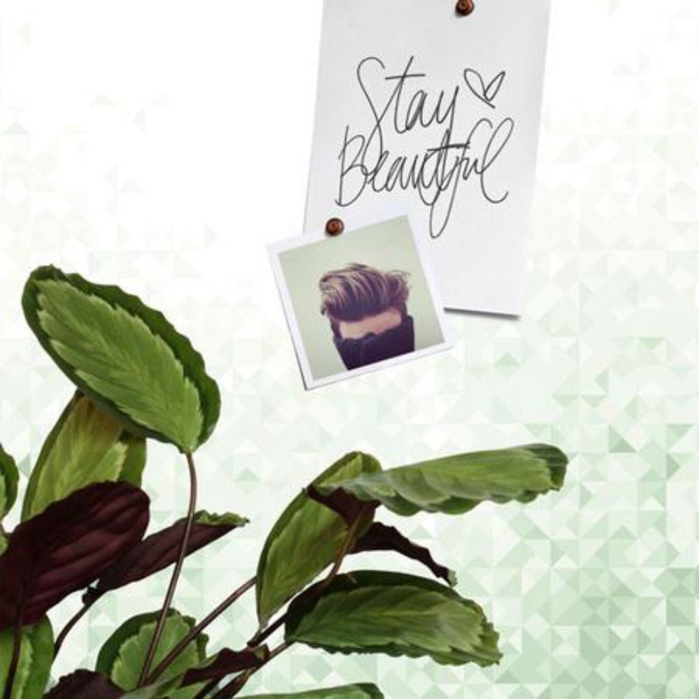 GEO - Magnet-Tapete - grün | Groovy Magnets