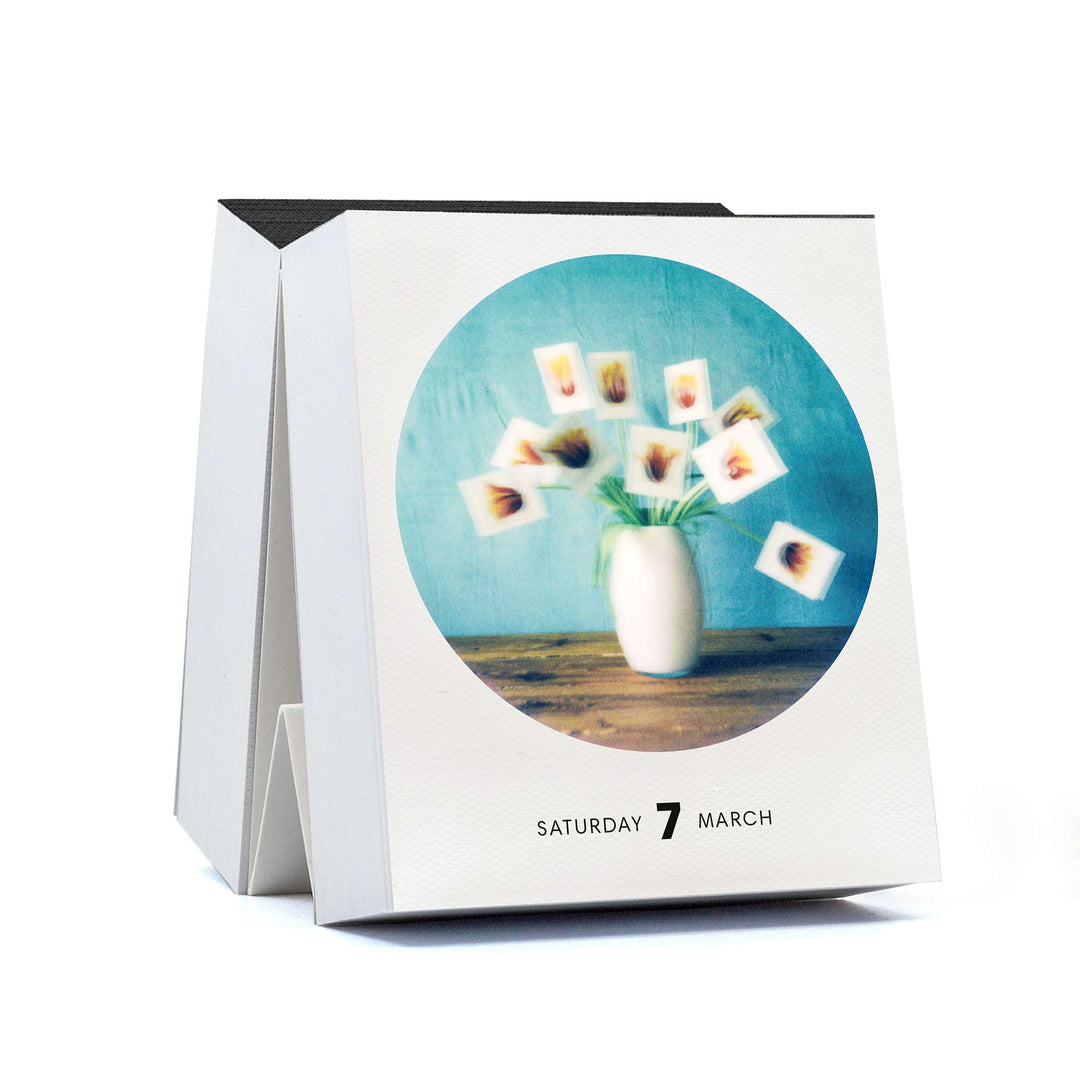 PHOTODARIUM 2026 - Polaroid Tages‑Abreiß-Kalender - 9x11 cm | seltmann+söhne