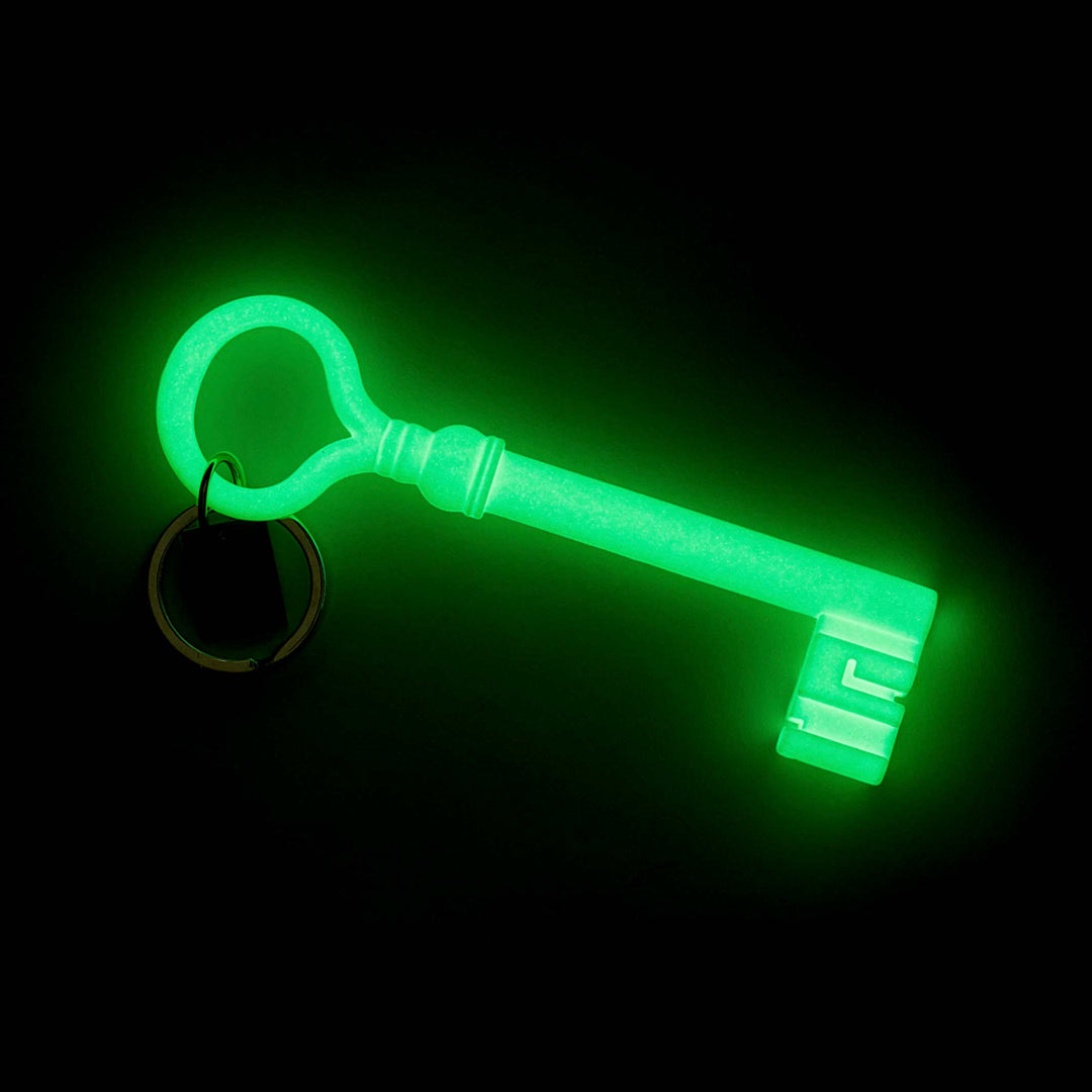 REALITY KEY KEYCHAIN - Silikon Schlüsselanhänger - Harry Allen | Areaware