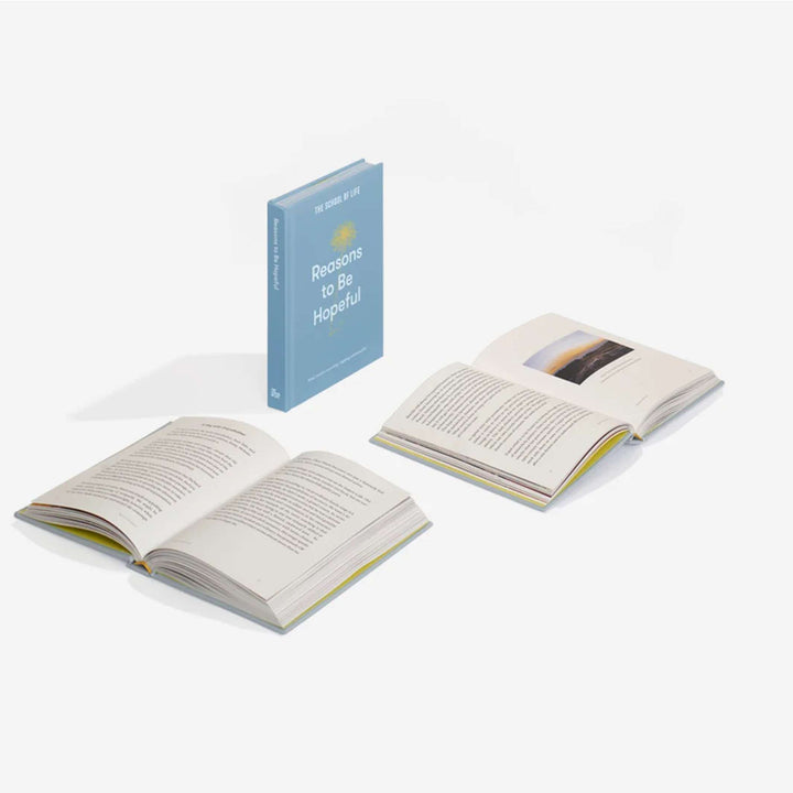 Buch "Reasons to Be Hopeful" | The School of Life
