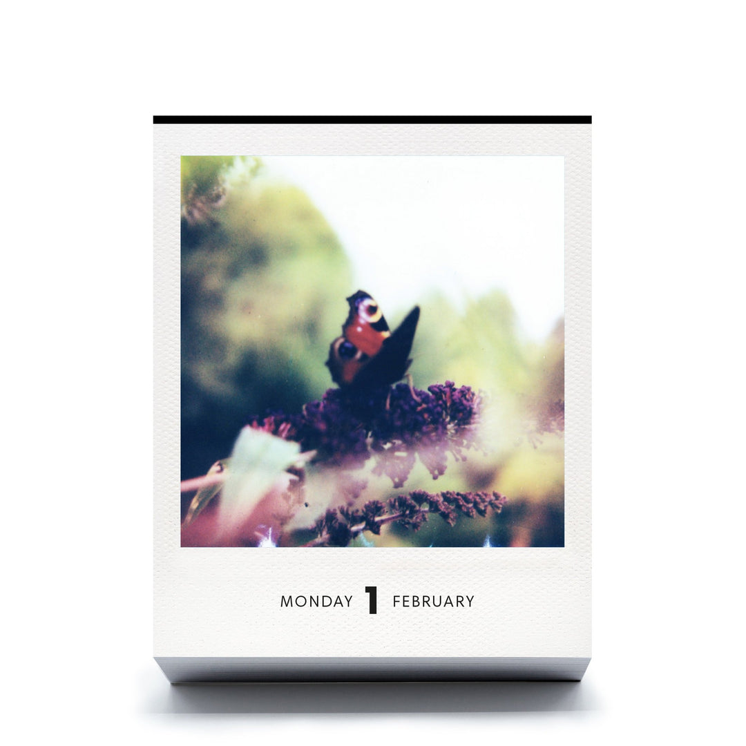 Polaroid-Kalender Photodarium 2027 – 365 Sofortbilder | seltmann+söhne