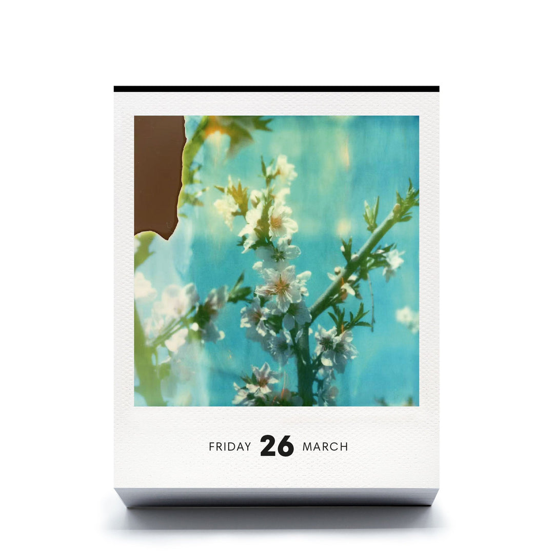 Polaroid-Kalender Photodarium 2027 – 365 Sofortbilder | seltmann+söhne