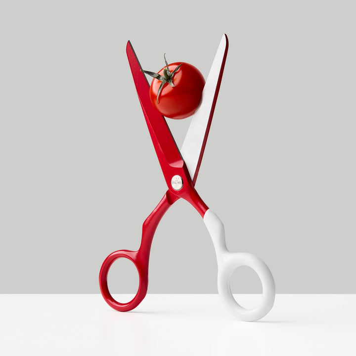 Design-Schere Spectra – Edelstahl · 16,8 cm | Craighill
