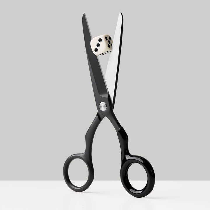 Design-Schere Spectra – Edelstahl · 16,8 cm | Craighill