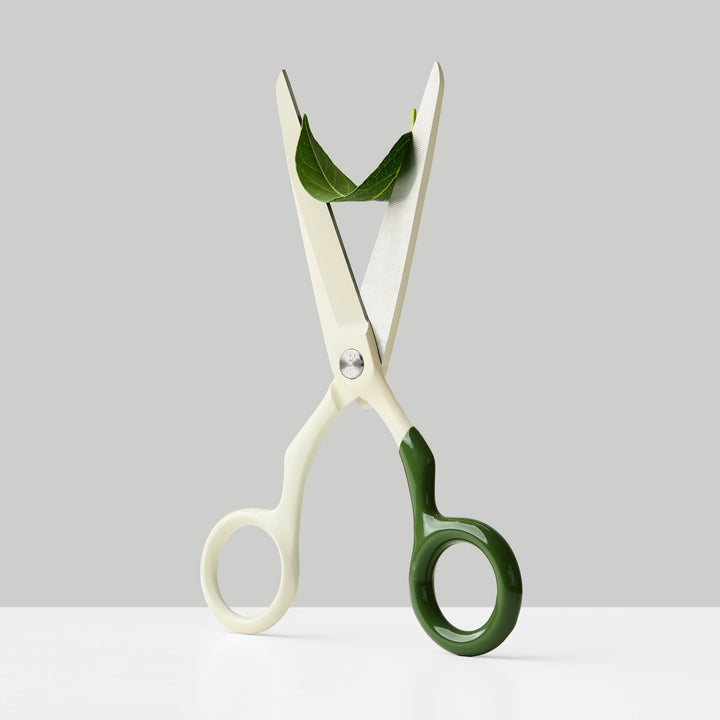 Design-Schere Spectra – Edelstahl · 16,8 cm | Craighill
