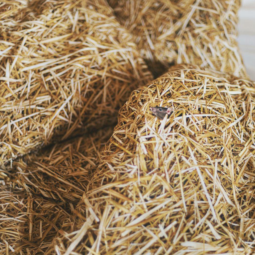 STRAW - bedding | Foonka