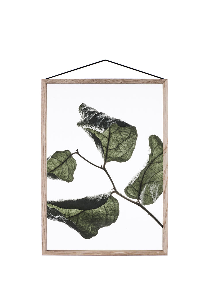 FLOATING LEAVES - durchsichtiges Poster | Moebe