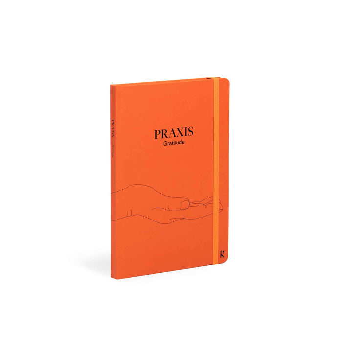 PRAXIS METHOD™️ | 3 english JOURNALS | Mindfulness, Gratítude & Habits | Karst Stone Paper