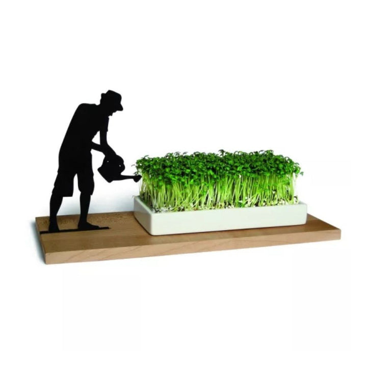 GARDENER - cress bowl | side by side