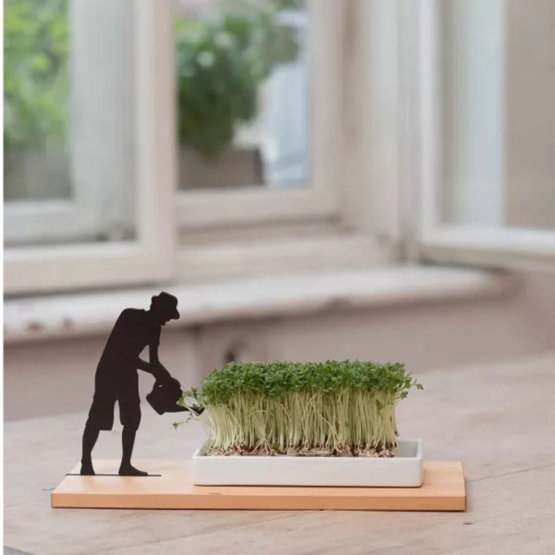 GARDENER - cress bowl | side by side