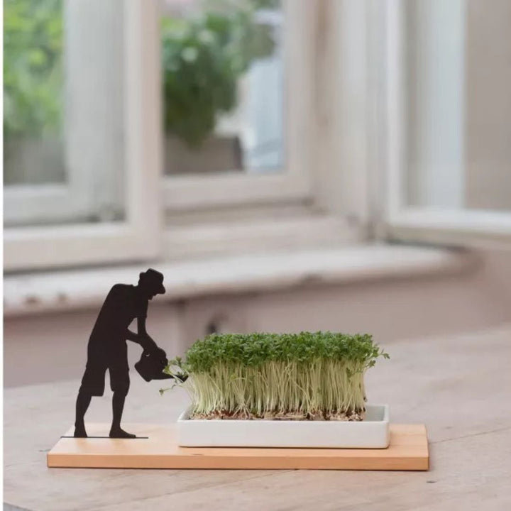 GARDENER - cress bowl | side by side