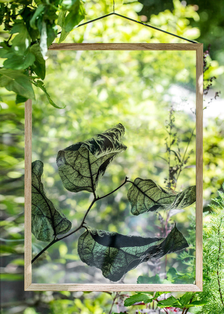 FLOATING LEAVES - durchsichtiges Poster | Moebe
