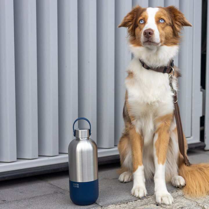 Stainless steel drinking bottle - 1000ml | noma noma
