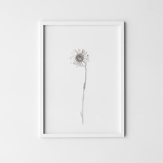 weißer Rahmen mit Blume