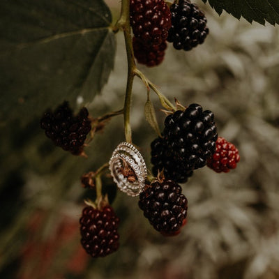 Dot–Ring
