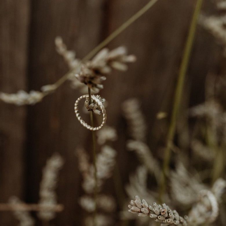 Dot–Ring