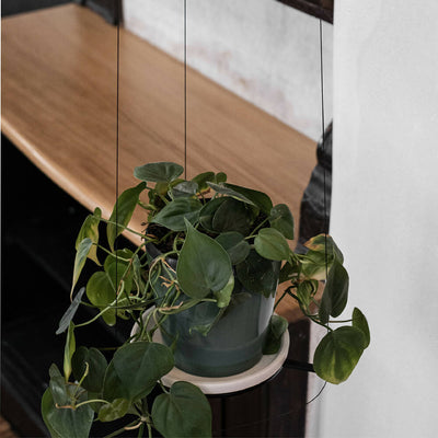 Pflanzenampel 'ORBIT'