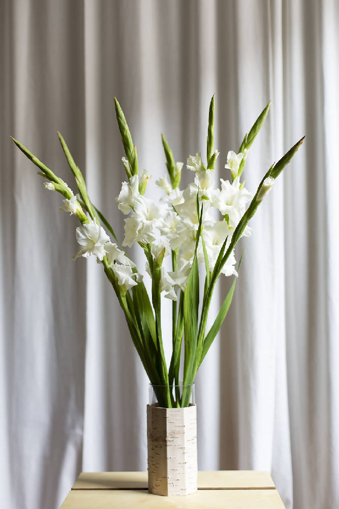 Vase &