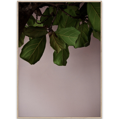Poster 'Green Leaves'