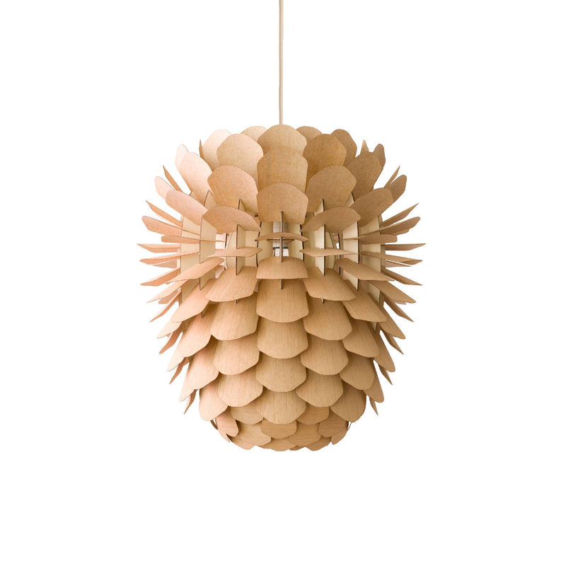 Lampe &